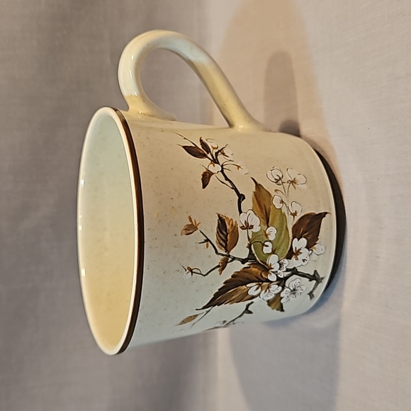 NEW Royal Doulton Wild Cherry 1038 Cup & Saucer Lambethware - Picture 5 of 14